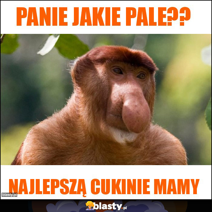 Panie jakie pale??