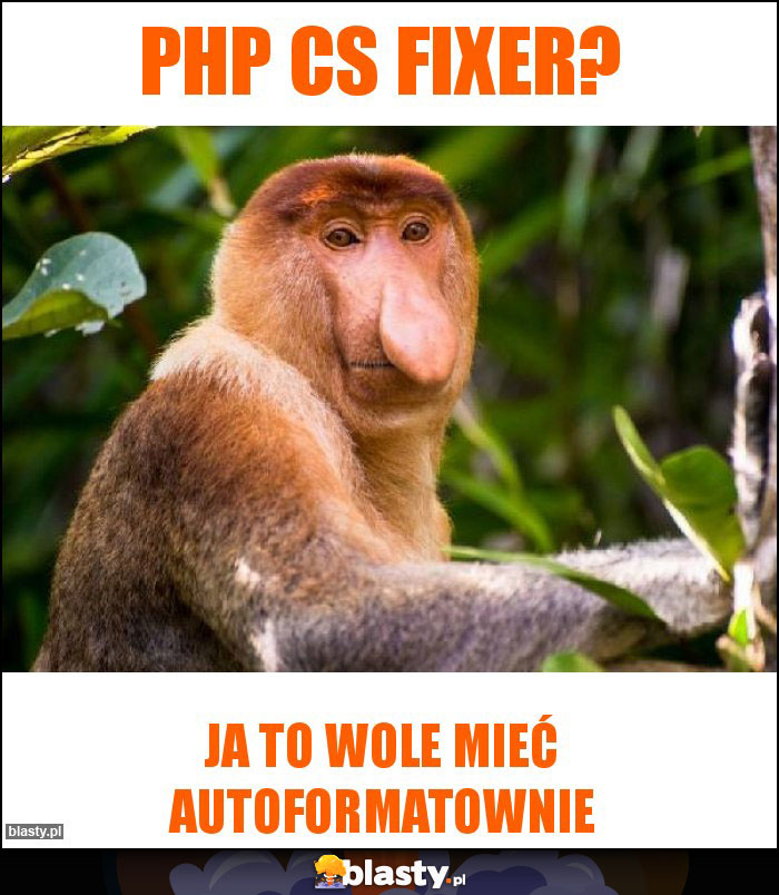 PHP CS FIXER?