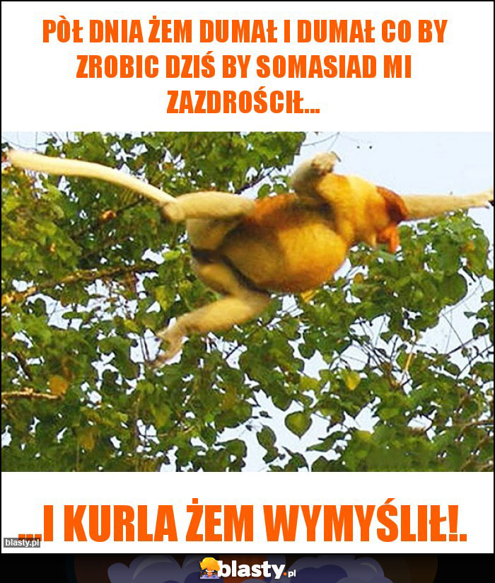 Pòł dnia żem dumał i dumał co by zrobic dziś by Somasiad mi zazdrościł...