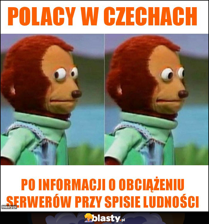 Polacy w Czechach