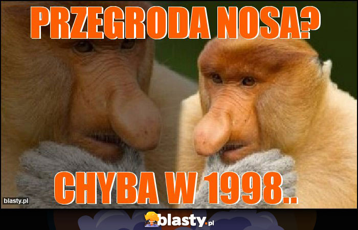 przegroda nosa?