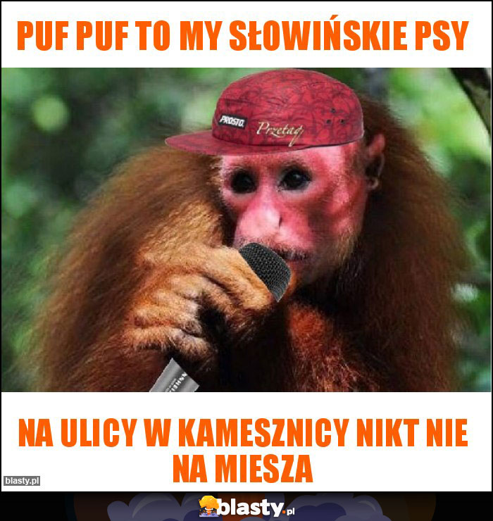 PUF Puf to my Słowińskie psy