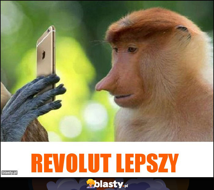 Revolut lepszy