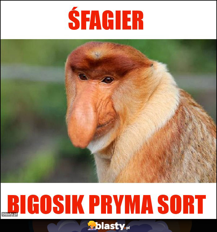 Śfagier