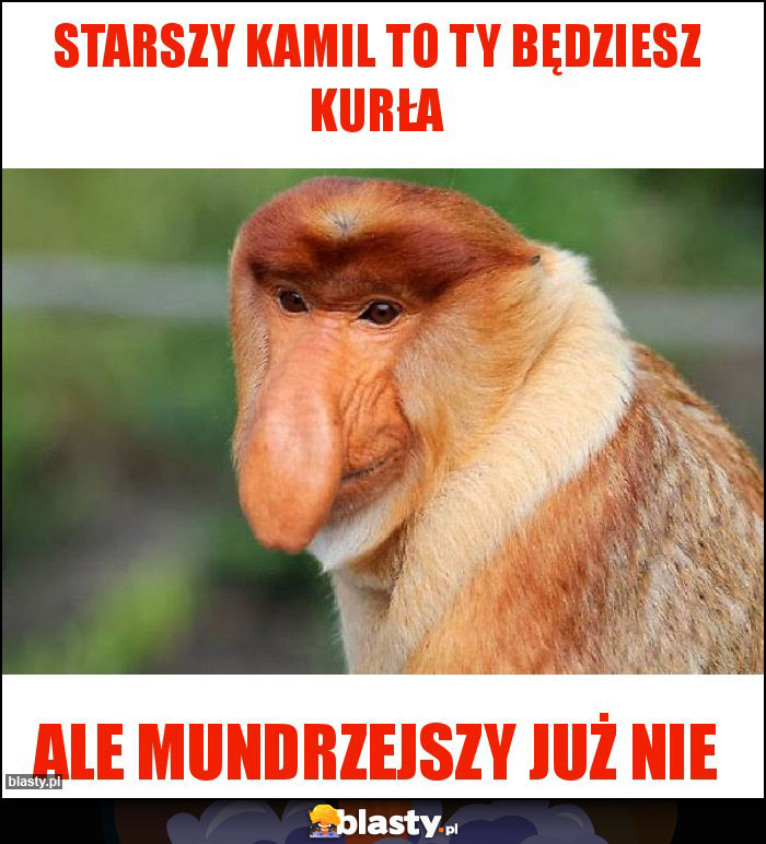 Starszy Kamil to Ty będziesz kurła