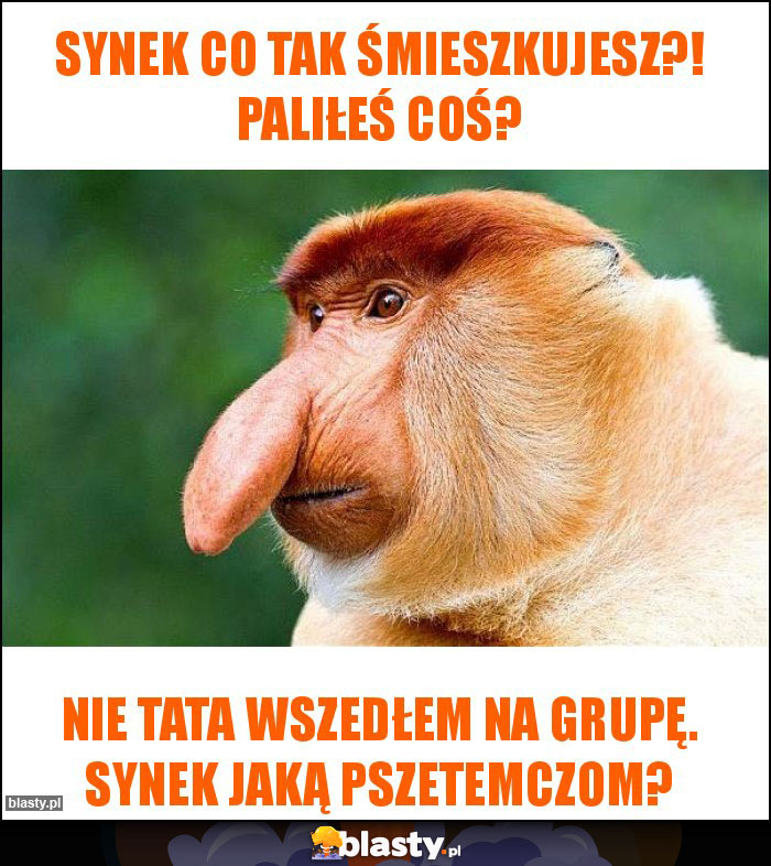 Synek co tak śmieszkujesz?! Paliłeś coś?