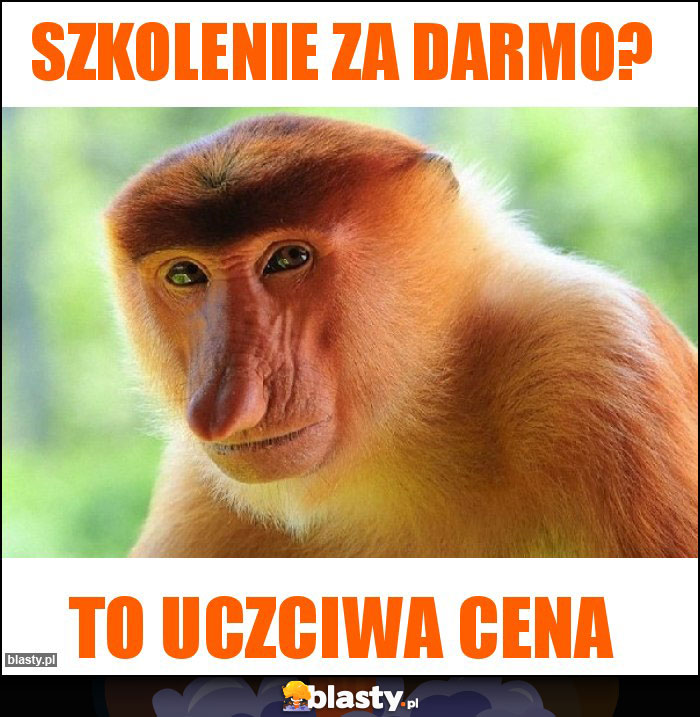 Szkolenie za darmo?