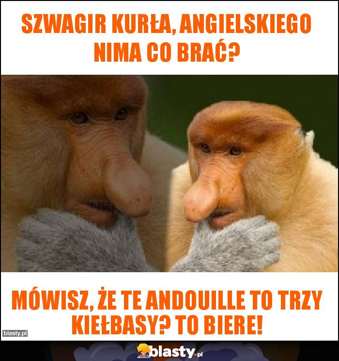 szwagir kurła, angielskiego nima co brać?