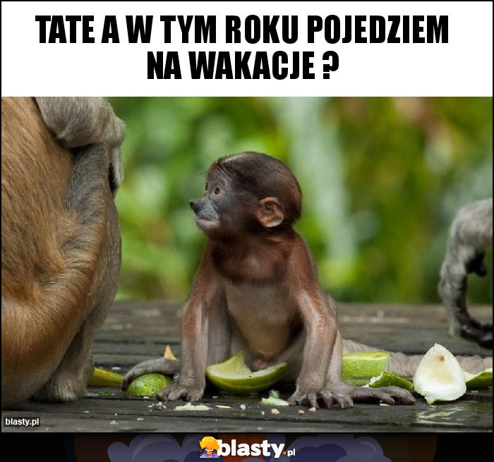 Tate a w tym roku pojedziem na wakacje ?