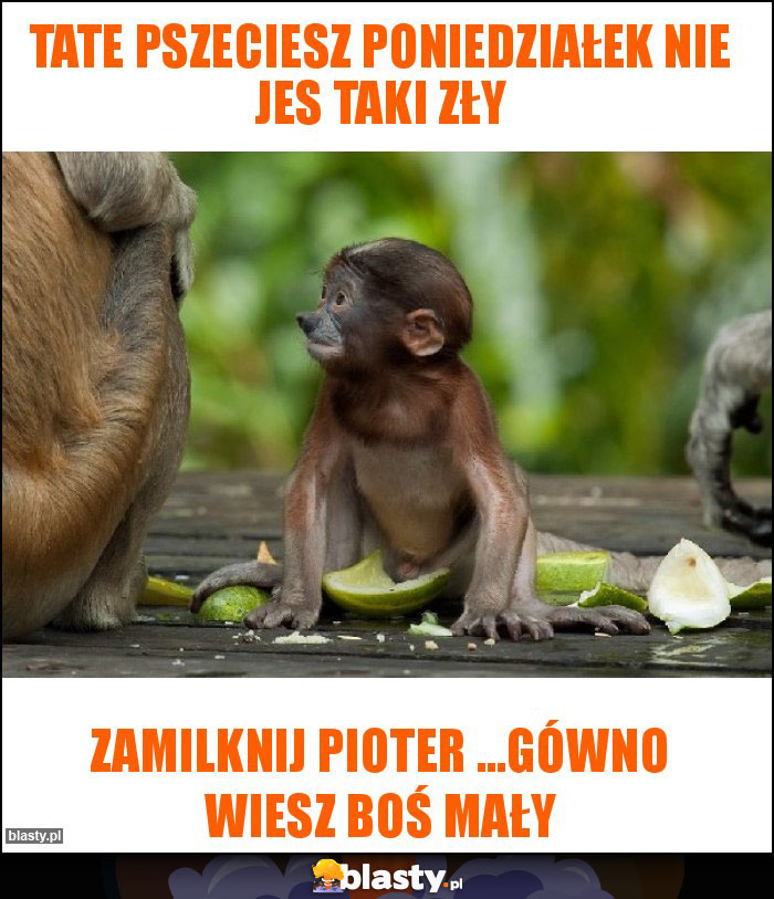 Tate pszeciesz poniedziałek nie jes taki zły