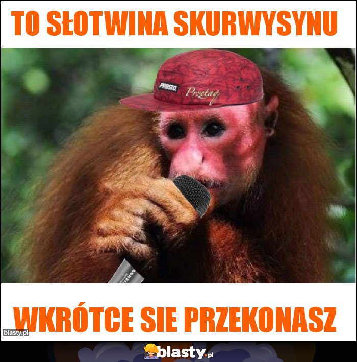 TO SŁOTWINA SKURWYSYNU