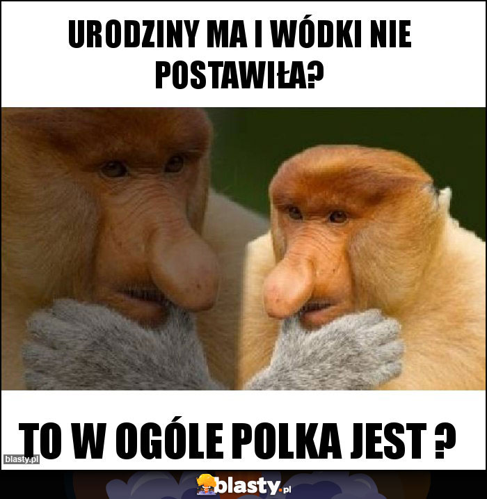 Urodziny ma i wódki nie postawiła?