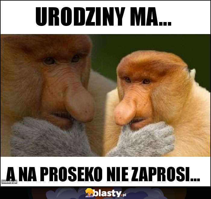 Urodziny ma...