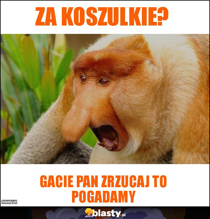 Za koszulkie?