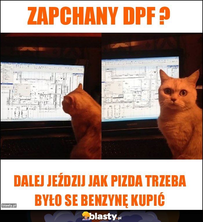 Zapchany DPf ?