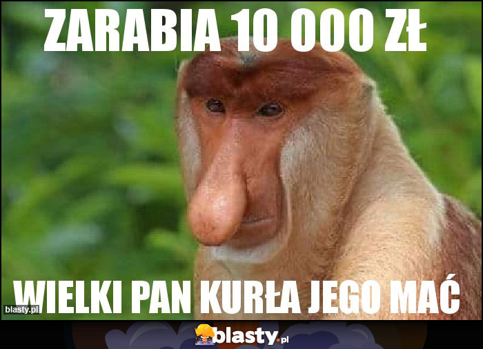 ZARABIA 10 000 ZŁ