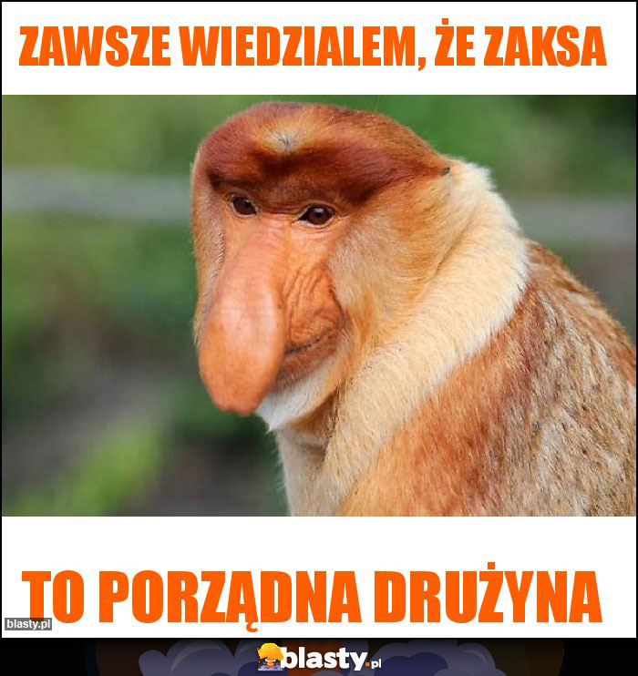 Zawsze wiedzialem, że zaksa