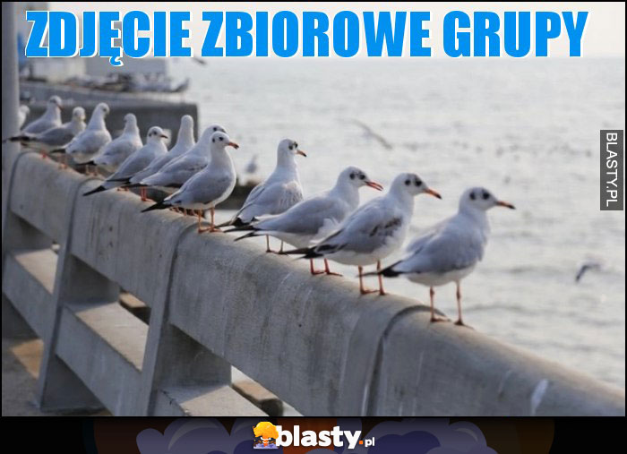 Zdjęcie zbiorowe grupy