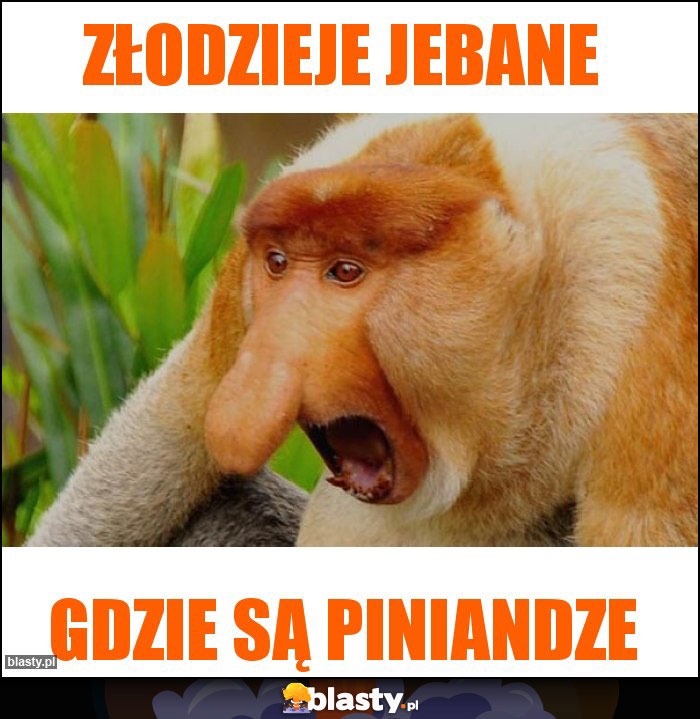 Złodzieje jebane