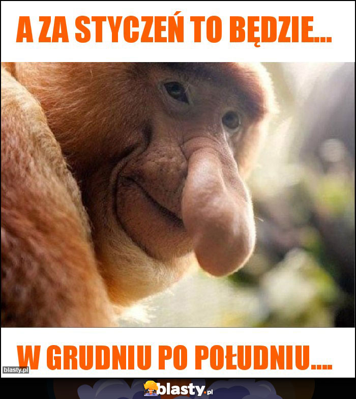 a za styczeń to będzie...