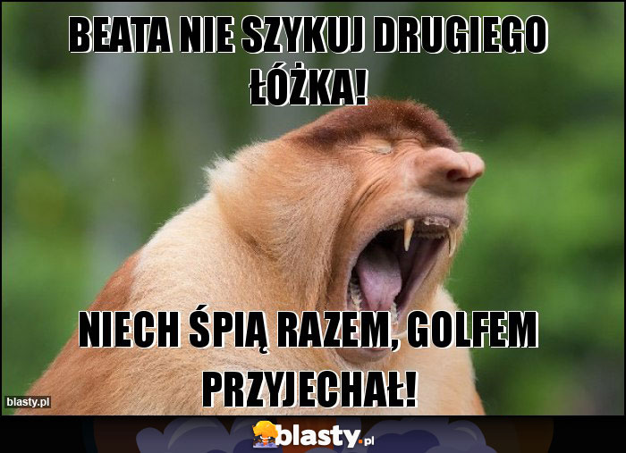 Beata nie szykuj drugiego łóżka!