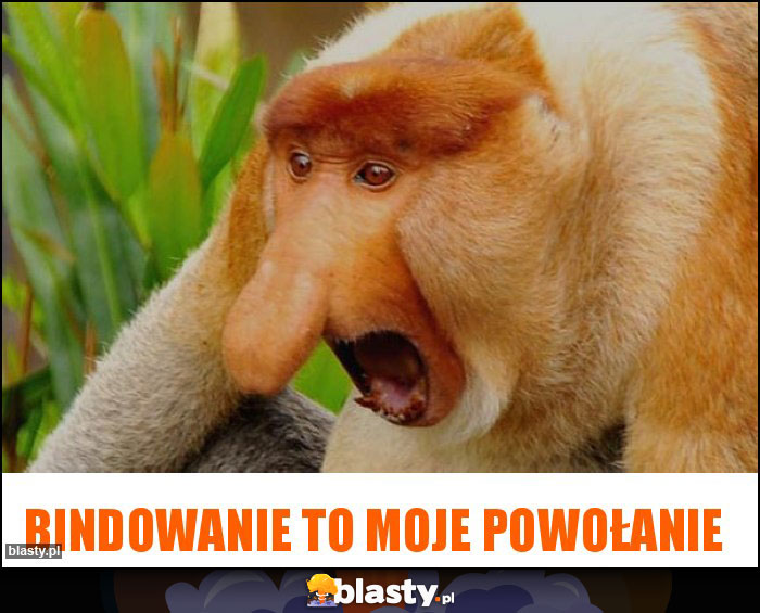 Bindowanie to moje powołanie