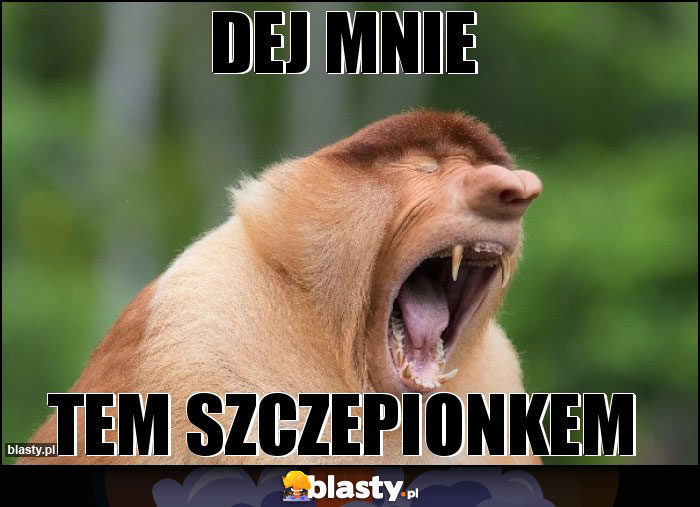 dej mnie