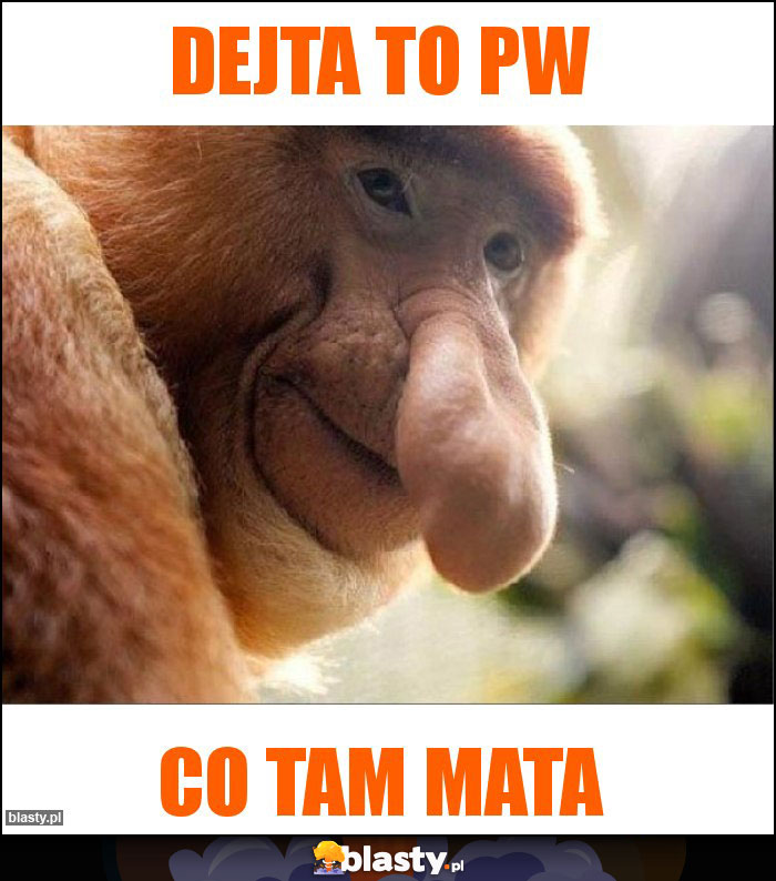 Dejta to PW