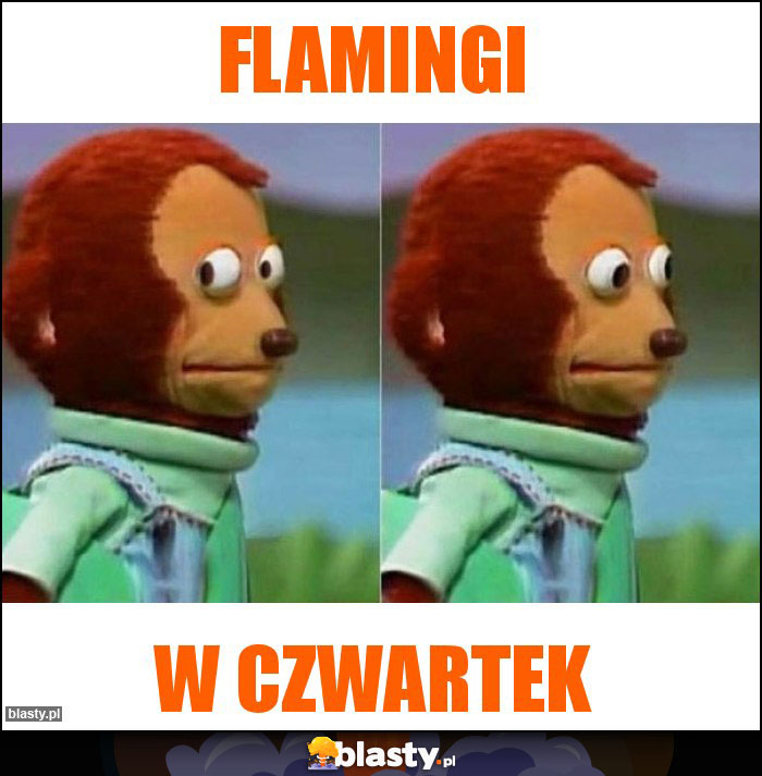 flamingi