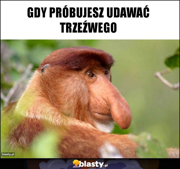 Gdy próbujesz udawać trzeźwego