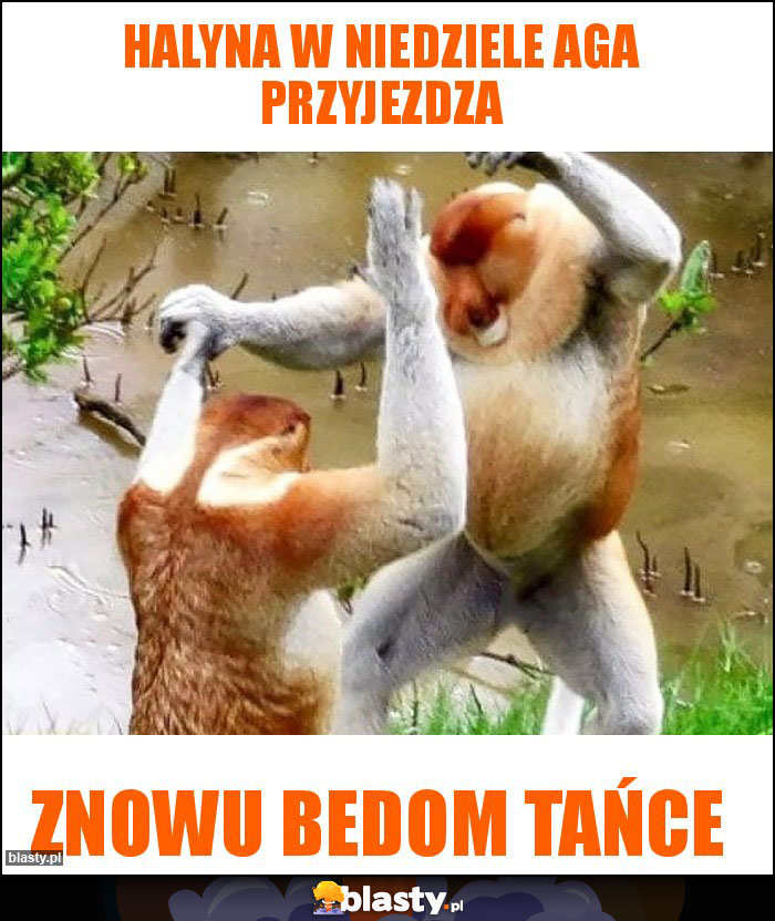 Halyna w niedziele Aga przyjezdza