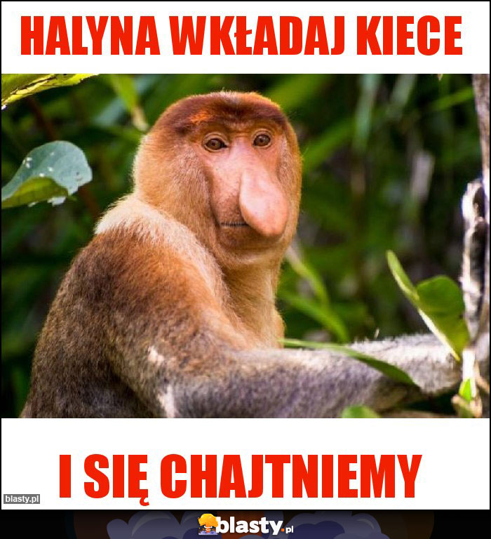 Halyna wkładaj kiece