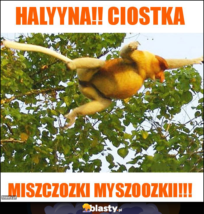 Halyyna!! Ciostka