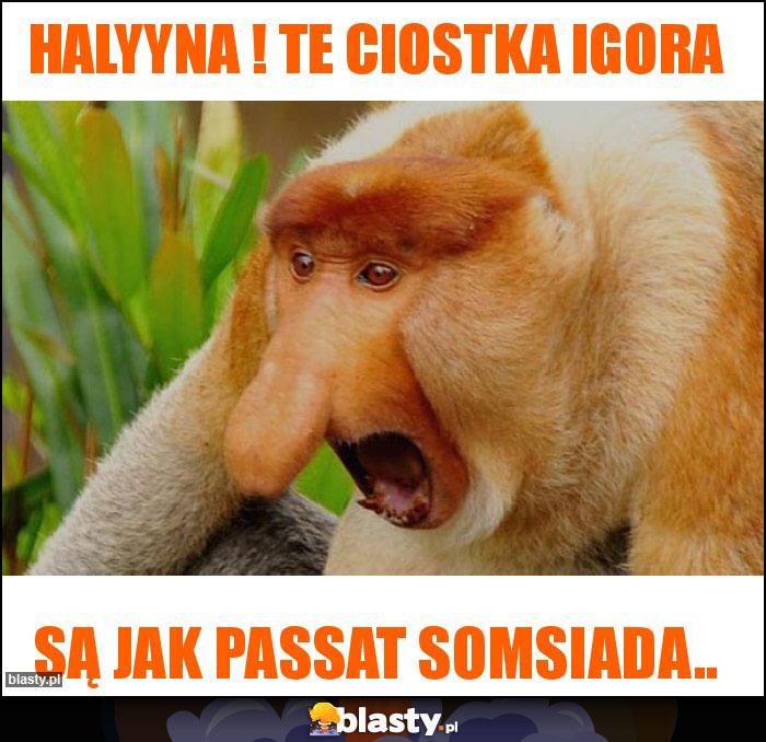 Halyyna ! Te ciostka Igora