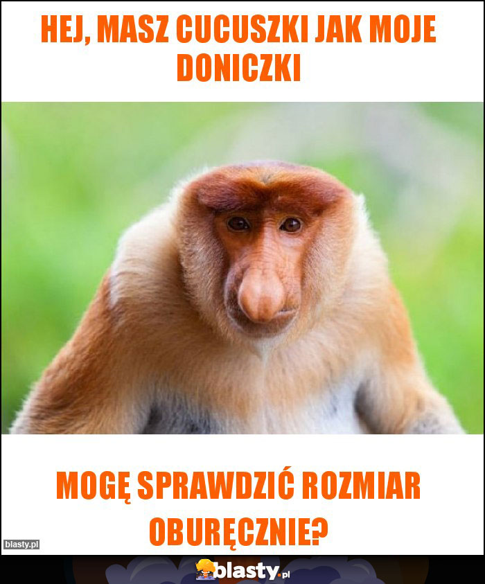 Hej, masz cucuszki jak moje doniczki