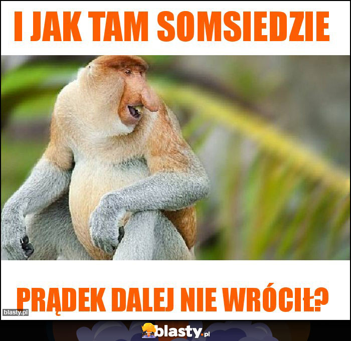 i jak tam somsiedzie