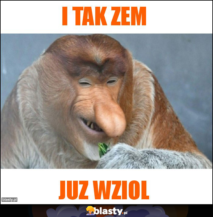 I TAK ZEM