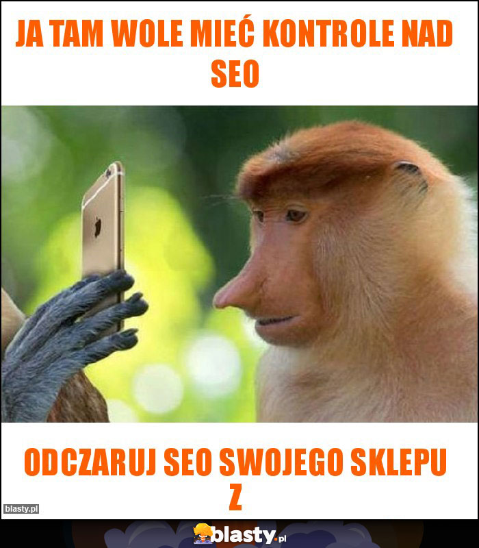 JA tam wole mieć kontrole nad SEO