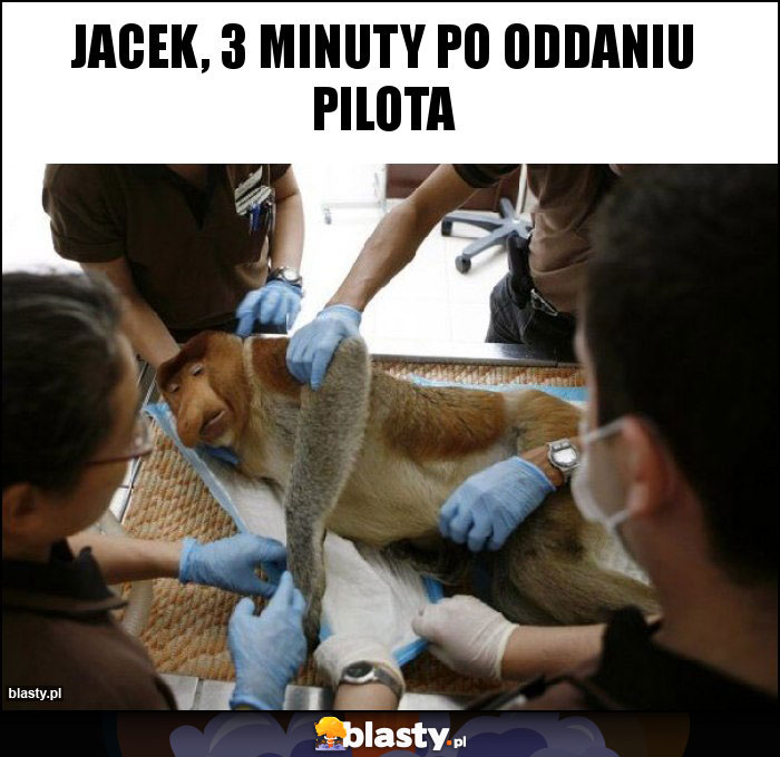 Jacek, 3 minuty po oddaniu pilota