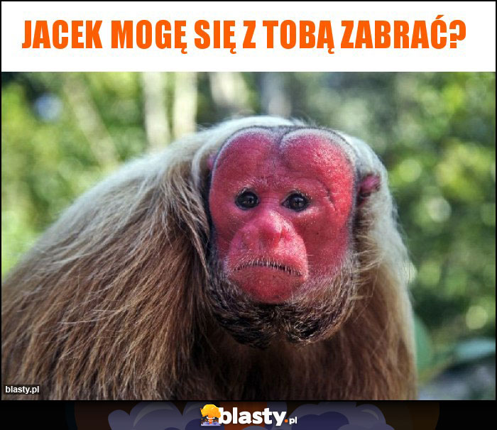 Jacek mogę się z tobą zabrać?