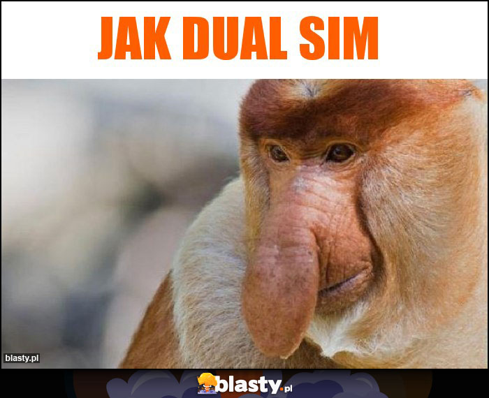 JAK DUAL SIM