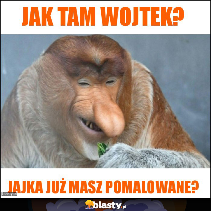 Jak tam Wojtek?