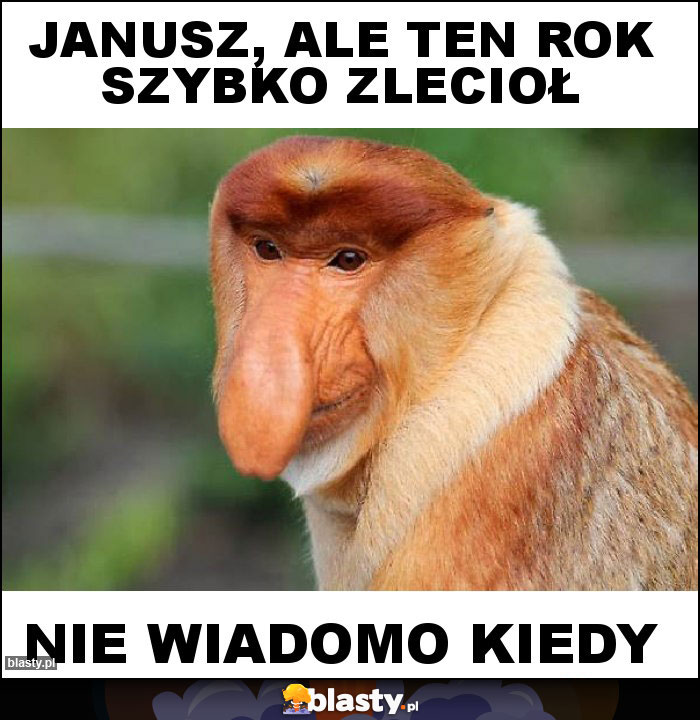 JANUSZ, ALE TEN ROK SZYBKO ZLECIOŁ