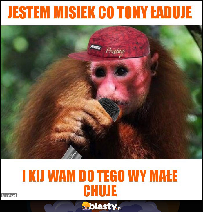 Jestem misiek co tony ładuje