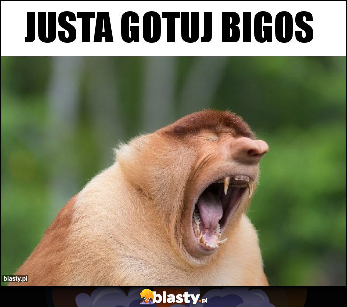 Justa gotuj bigos