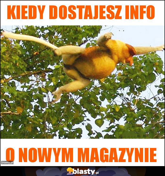 Kiedy dostajesz info