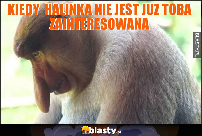 KIEDY  HALINKA NIE JEST JUZ TOBA ZAINTERESOWANA