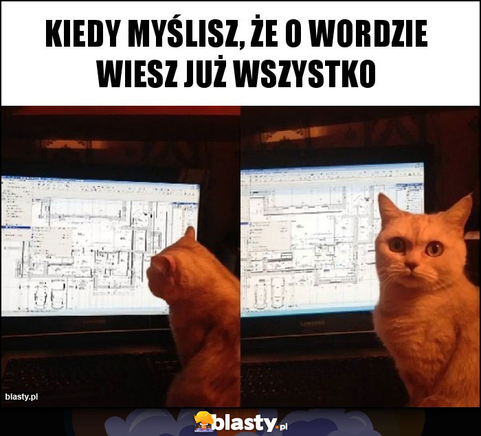 KIEDY MYŚLISZ, ŻE O WORDZIE WIESZ JUŻ WSZYSTKO