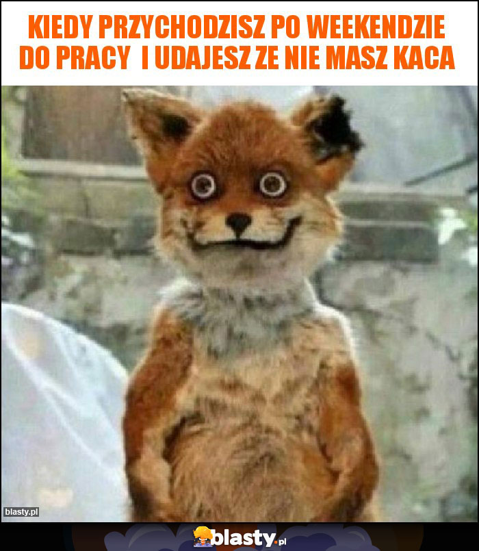 Kiedy przychodzisz po weekendzie do pracy  i udajesz ze nie masz kaca