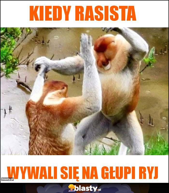 Kiedy rasista